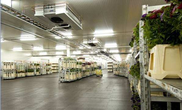 寧波建冷庫(kù)多少錢(qián)一立方？每立方能存多少貨物